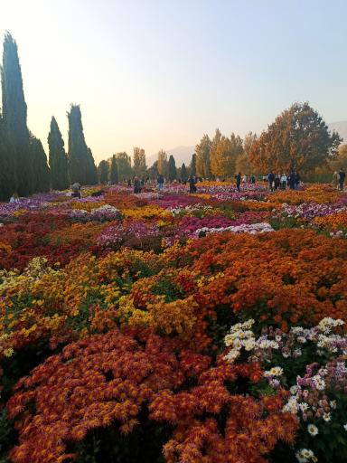 عکس باغ گیاه شناسی ملی ایران