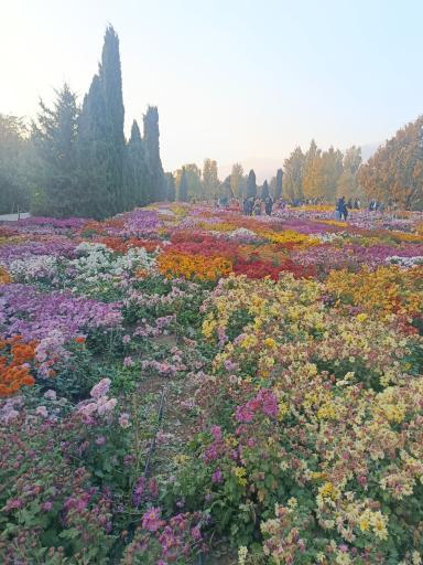عکس باغ گیاه شناسی ملی ایران