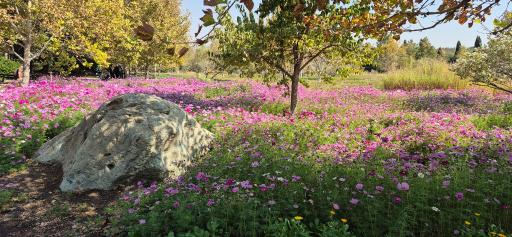 عکس باغ گیاه شناسی ملی ایران