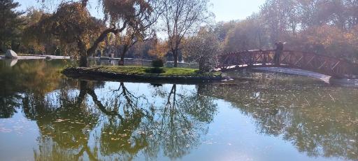 عکس باغ گیاه شناسی ملی ایران