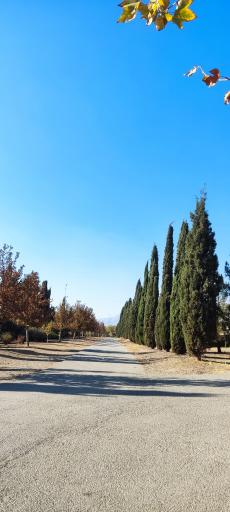 عکس باغ گیاه شناسی ملی ایران