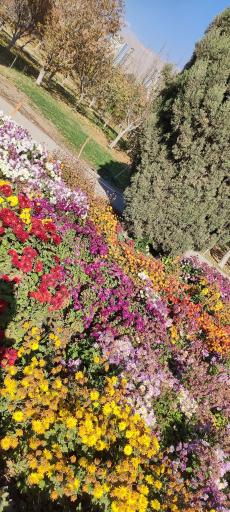 عکس باغ گیاه شناسی ملی ایران