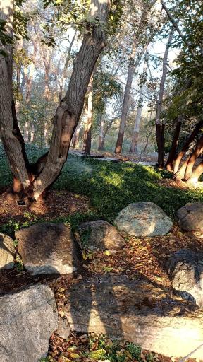 عکس باغ گیاه شناسی ملی ایران
