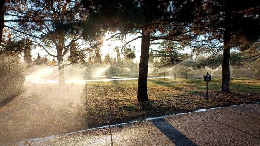 عکس باغ گیاه شناسی ملی ایران