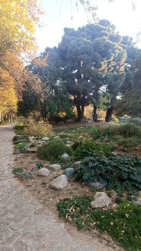 عکس باغ گیاه شناسی ملی ایران