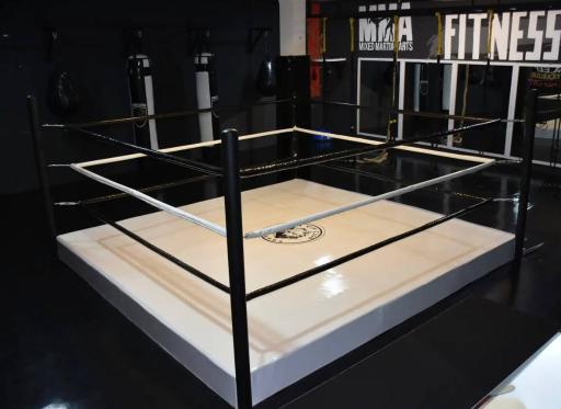 عکس آموزش کیک بوکسینگ بوکس موی تای پیروزی طهماسبی