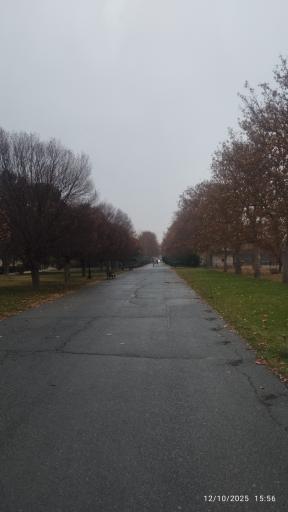 عکس باغ گیاه شناسی ملی ایران