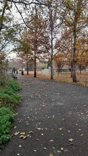 عکس باغ گیاه شناسی ملی ایران