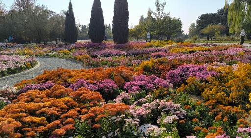 عکس باغ گیاه شناسی ملی ایران