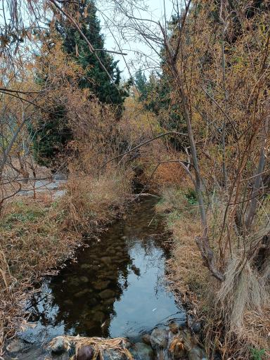 عکس باغ گیاه شناسی ملی ایران