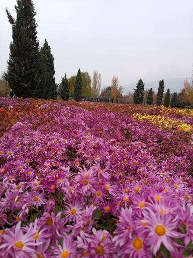 عکس باغ گیاه شناسی ملی ایران