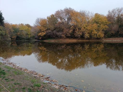 عکس باغ گیاه شناسی ملی ایران