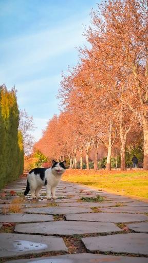 عکس باغ گیاه شناسی ملی ایران