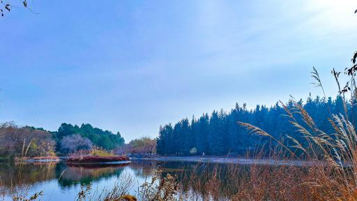 عکس باغ گیاه شناسی ملی ایران