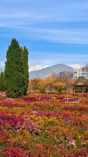 عکس باغ گیاه شناسی ملی ایران