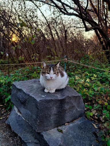 عکس باغ گیاه شناسی ملی ایران