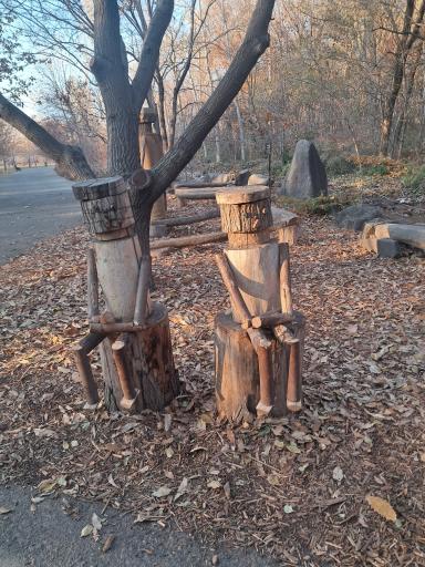 عکس باغ گیاه شناسی ملی ایران