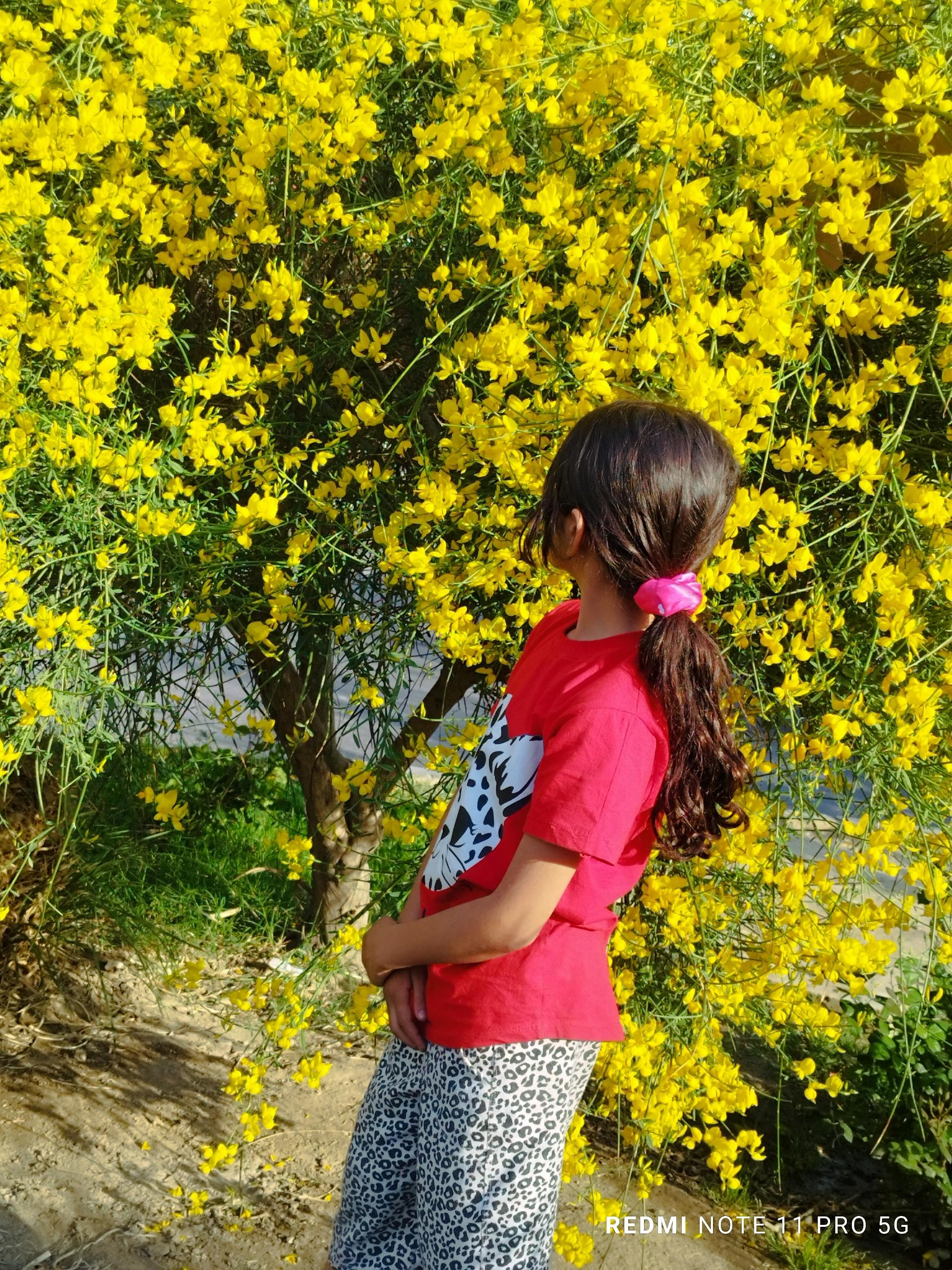 عکس باغ گیاه شناسی ملی ایران