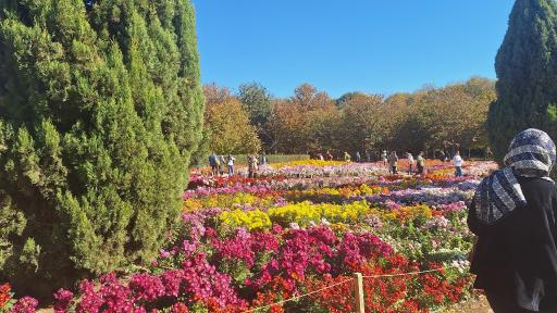 عکس باغ گیاه شناسی ملی ایران