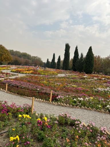 عکس باغ گیاه شناسی ملی ایران