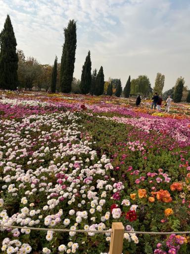عکس باغ گیاه شناسی ملی ایران