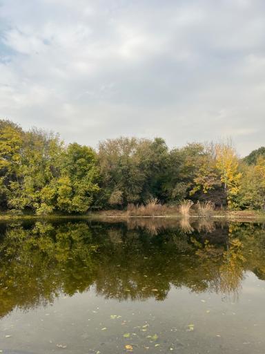 عکس باغ گیاه شناسی ملی ایران