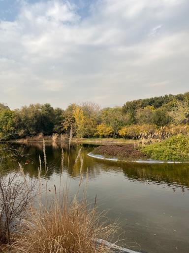 عکس باغ گیاه شناسی ملی ایران