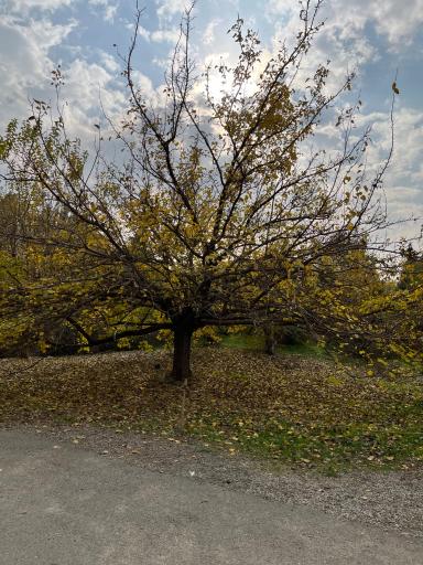 عکس باغ گیاه شناسی ملی ایران