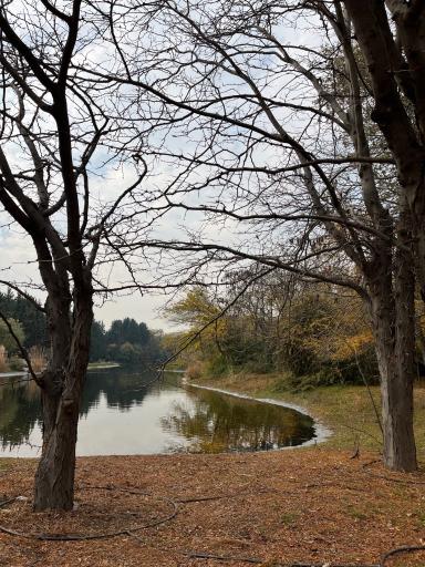 عکس باغ گیاه شناسی ملی ایران