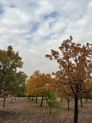 عکس باغ گیاه شناسی ملی ایران