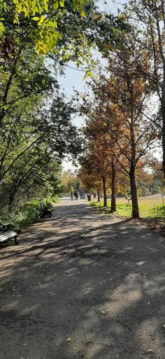 عکس باغ گیاه شناسی ملی ایران