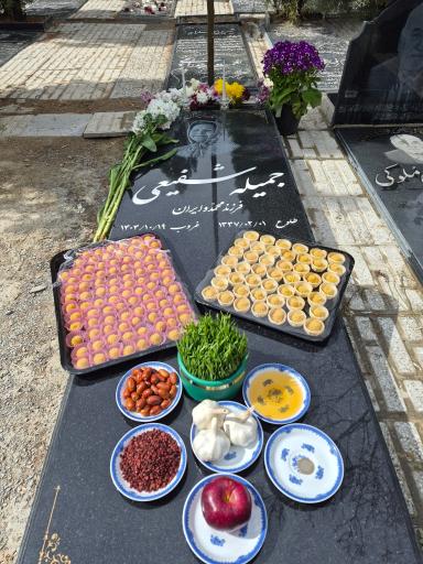 عکس آرامگاه جمیله شفیعی
