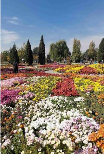 عکس باغ گیاه شناسی ملی ایران