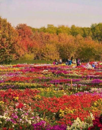 عکس باغ گیاه شناسی ملی ایران