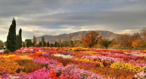 عکس باغ گیاه شناسی ملی ایران