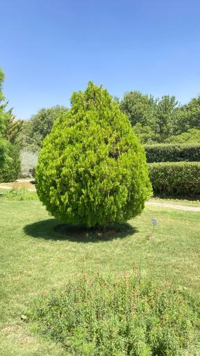 عکس باغ گیاه شناسی ملی ایران