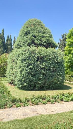 عکس باغ گیاه شناسی ملی ایران