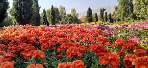 عکس باغ گیاه شناسی ملی ایران