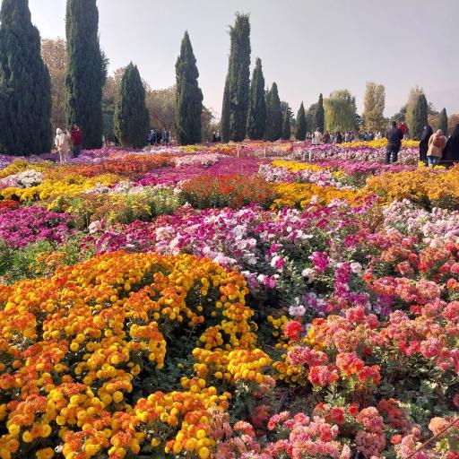 عکس باغ گیاه شناسی ملی ایران