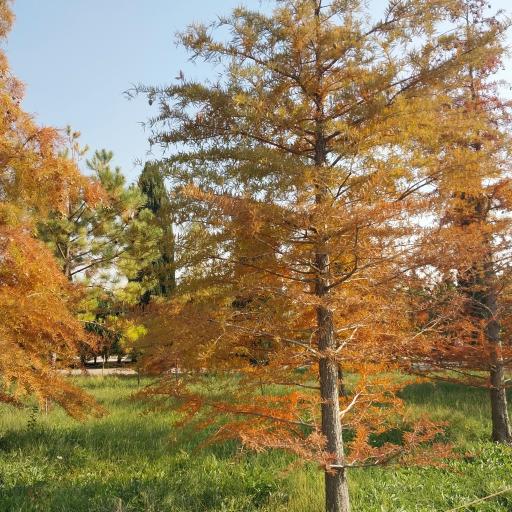 عکس باغ گیاه شناسی ملی ایران