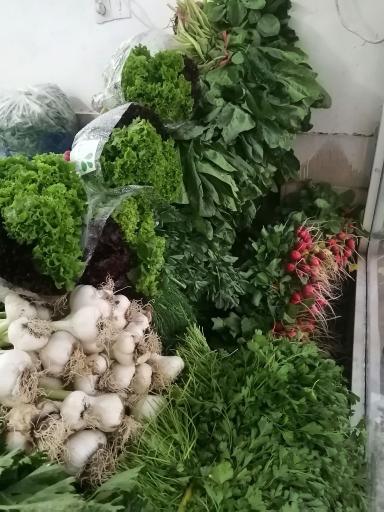 عکس میوه سرای نرولی
