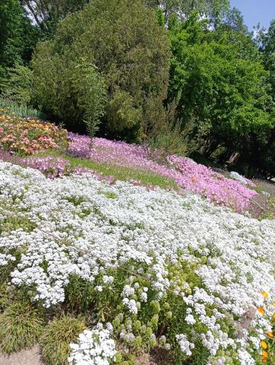 عکس باغ گیاه شناسی ملی ایران