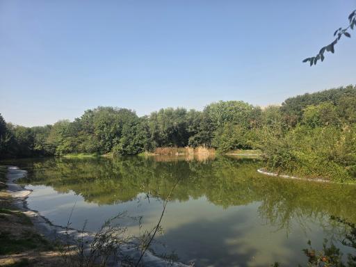 عکس باغ گیاه شناسی ملی ایران