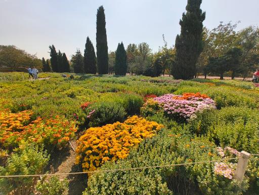 عکس باغ گیاه شناسی ملی ایران