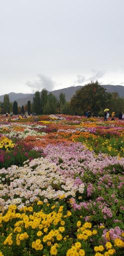 باغ گیاه شناسی ملی ایران