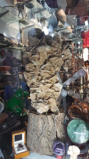 عکس گالری مبری