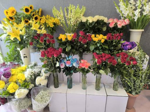 عکس گل پیروزی