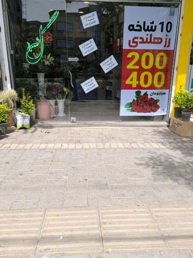 عکس گل پیروزی