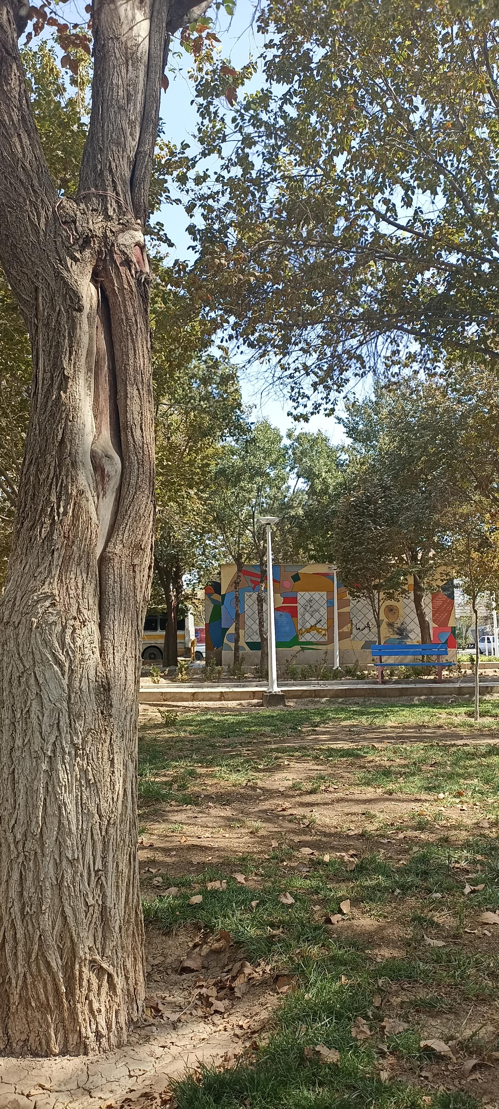 عکس بوستان حافظ