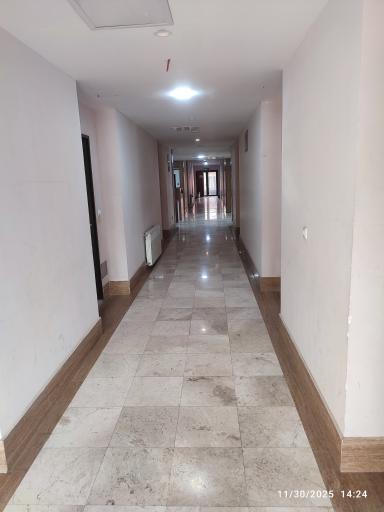 زائر شهر رضوی